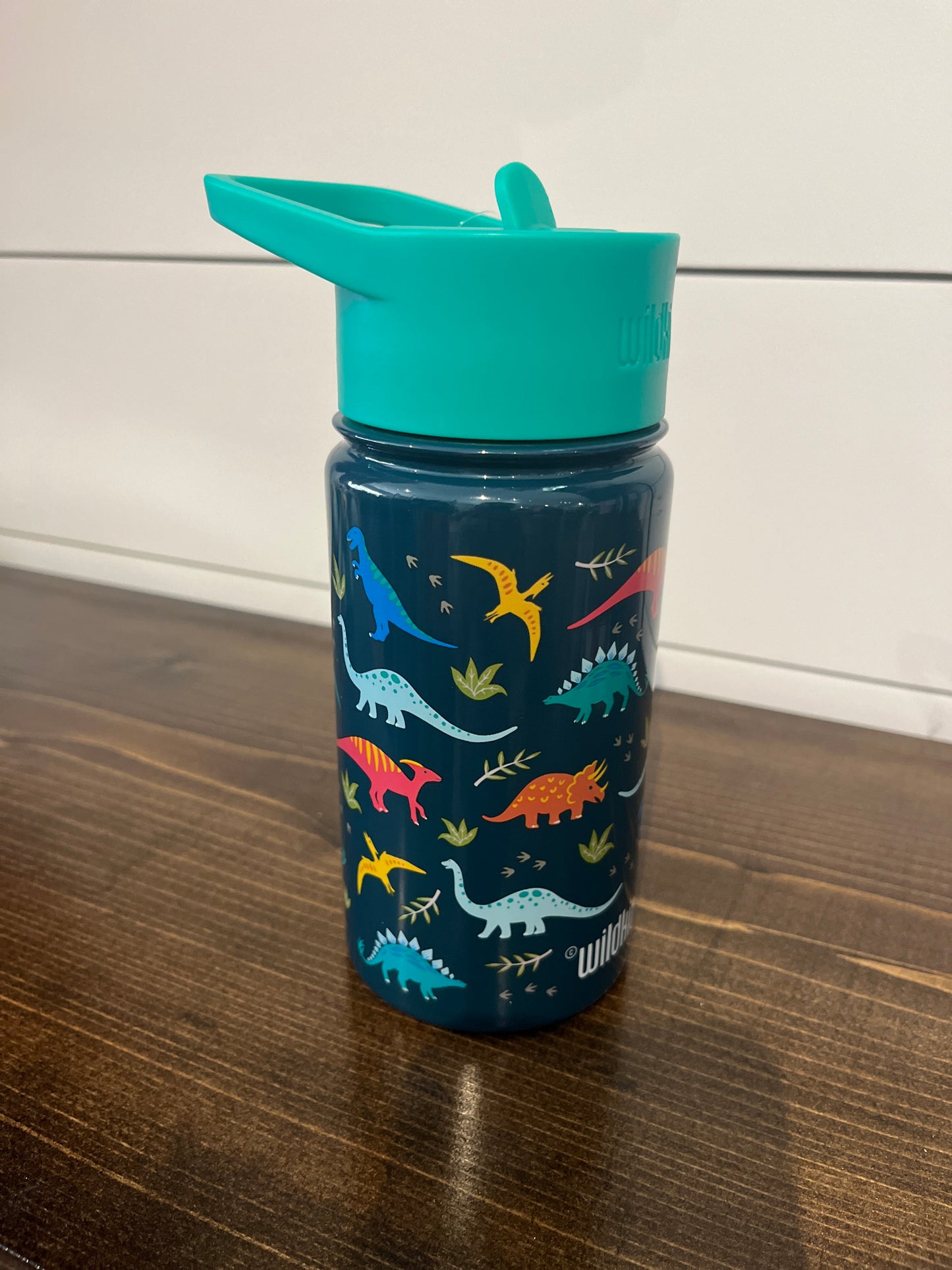 Dinosaurs 14 oz. stainless steel water bottle
