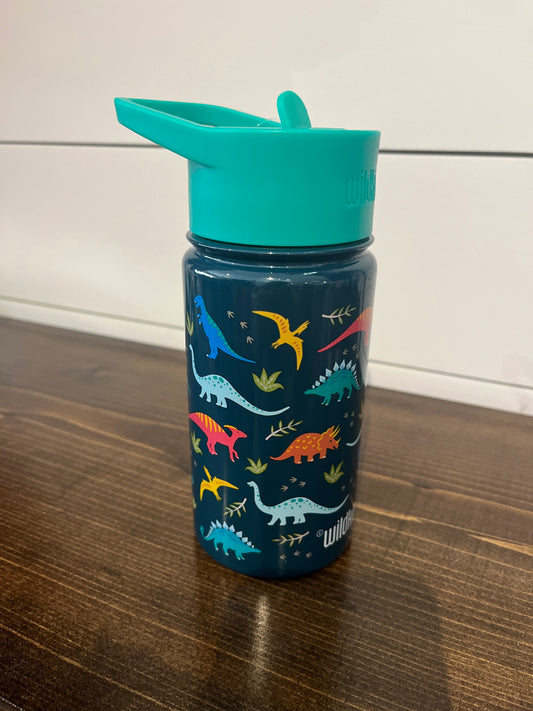 Dinosaurs 14 oz. stainless steel water bottle